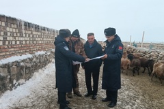 筑牢动物免疫“安全网” 为畜牧业发展保驾护航
